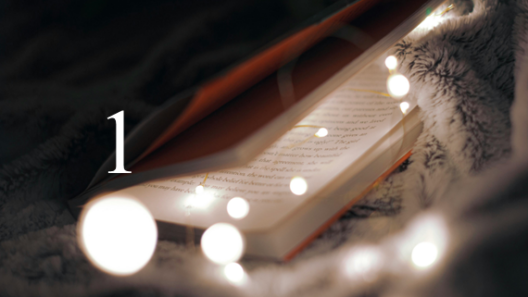 A partridge in a pear tree